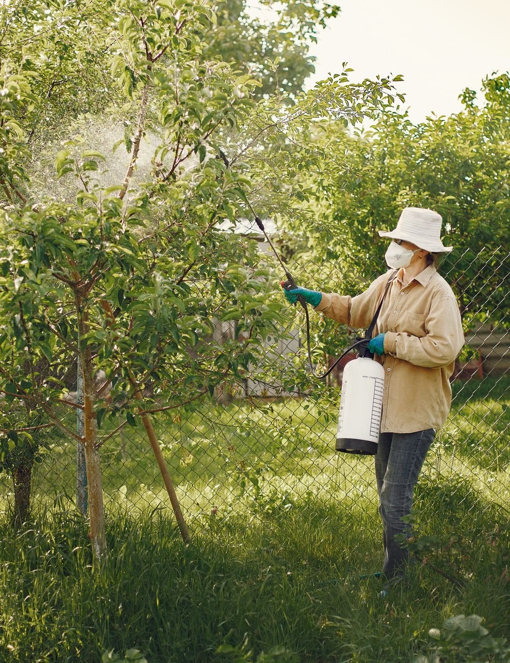 Pest control technician treating the outside of a house