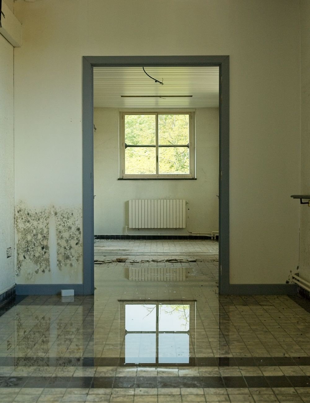 Restoration technician drying out a flooded room